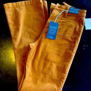 YMI High Rise Flare